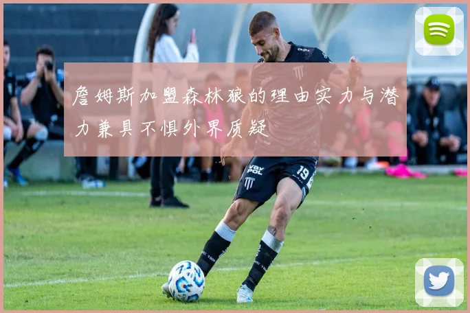 詹姆斯加盟森林狼的理由实力与潜力兼具不惧外界质疑